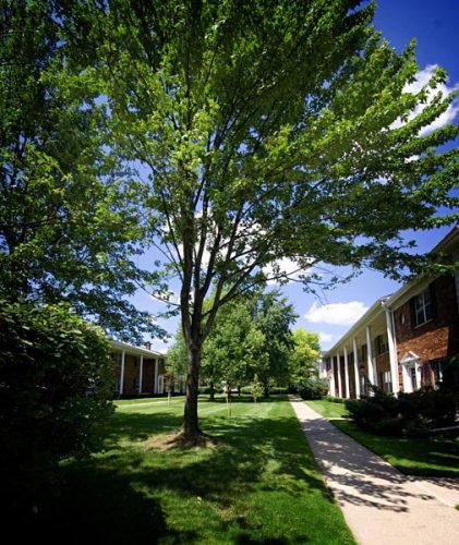 Featured image for “3134 Glouchester, #117”