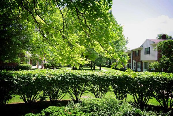 Featured image for “3134 Glouchester, #117”