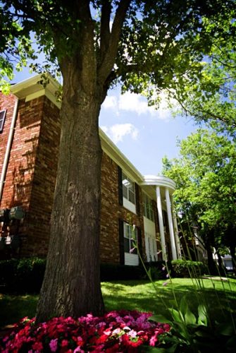 Featured image for “3134 Glouchester, #117”