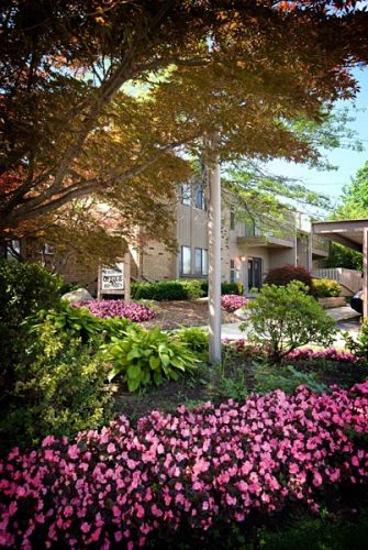 Featured image for “52 N. PLAZA BLVD, #433”