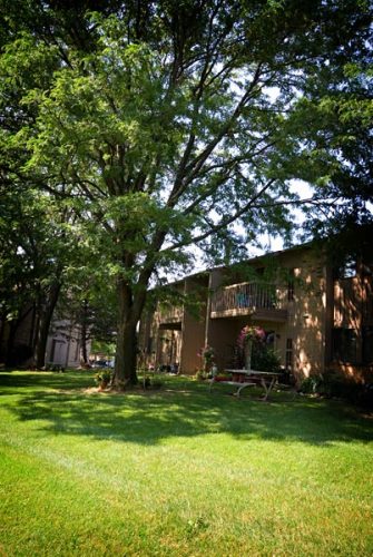 Featured image for “52 N. PLAZA BLVD, #433”