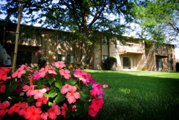 Featured image for “52 N. PLAZA BLVD, #433”