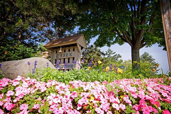 Featured image for “52 N. PLAZA BLVD, #433”