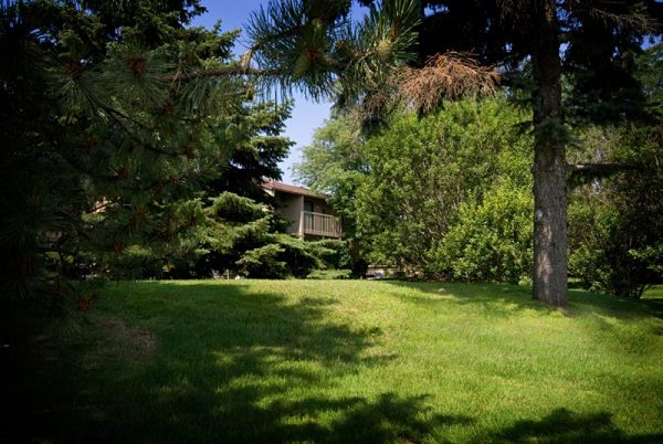 Featured image for “52 N. PLAZA BLVD, #433”