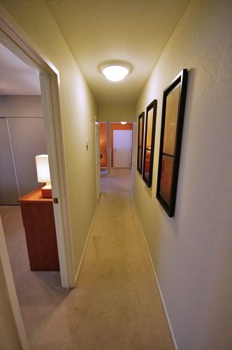 Featured image for “52 N. PLAZA BLVD, #433”