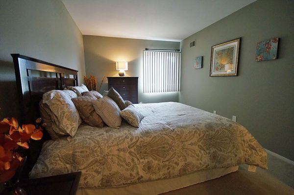 Featured image for “52 N. PLAZA BLVD, #433”