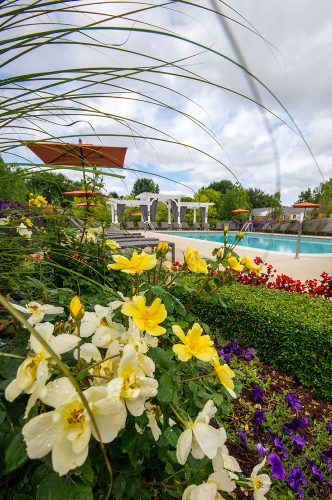 Featured image for “850 Ironwood, #328”