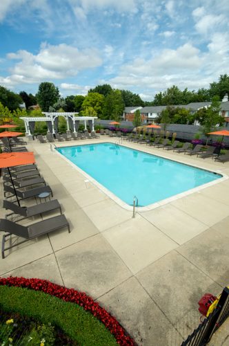 Featured image for “850 Ironwood, #328”