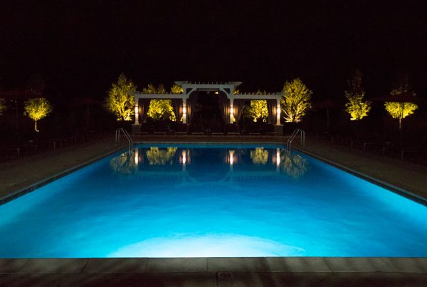 Featured image for “850 Ironwood, #328”