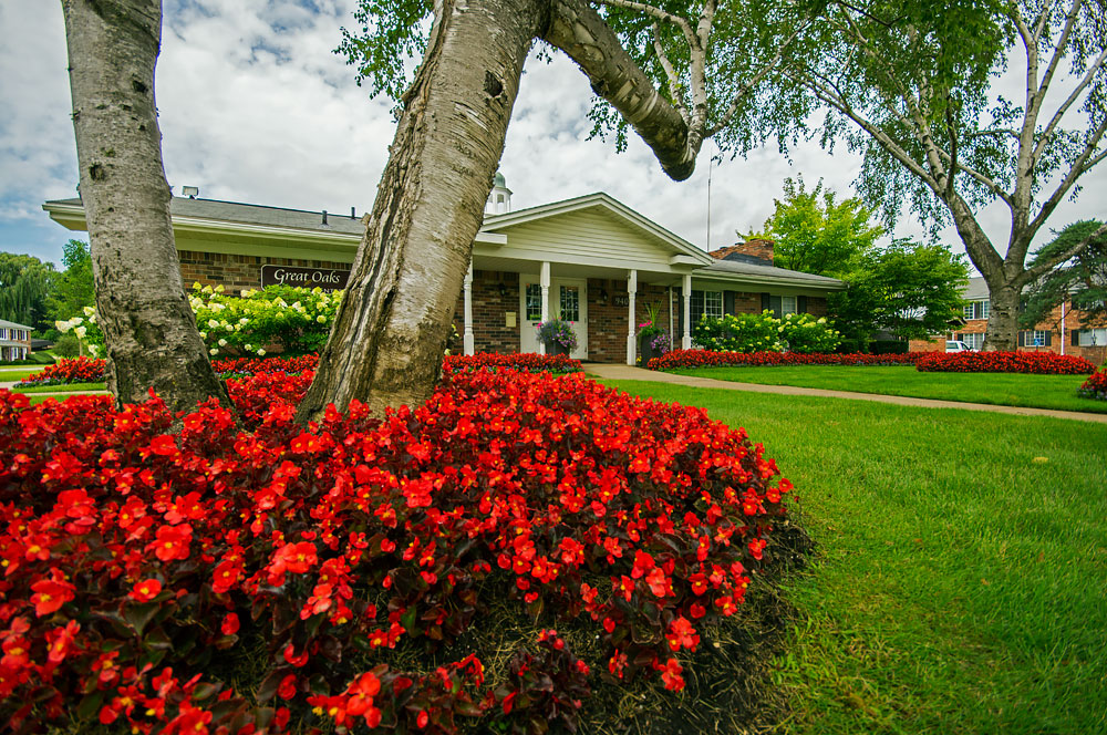 Great Oaks