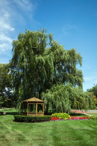 Featured image for “3715 Green Brier Blvd., #200C”