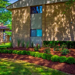 Pine Valley Apartment Homes