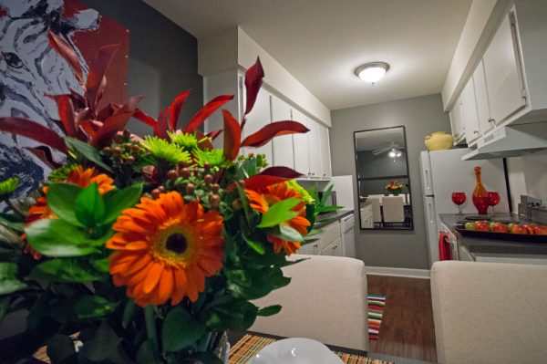 Featured image for “1532 Pine Valley Blvd., #12”