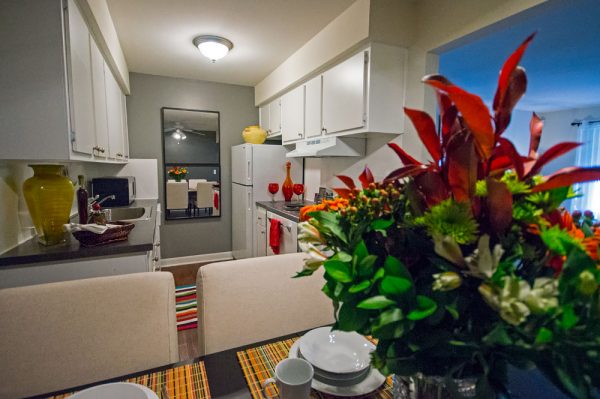 Featured image for “1532 Pine Valley Blvd., #12”