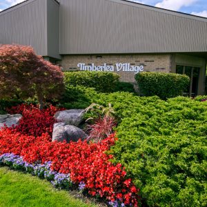 Timberlea Village