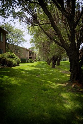 Featured image for “415 Timberlea Drive, #219”