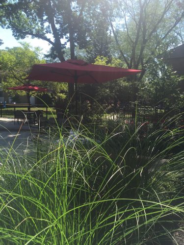 Featured image for “1532 Pine Valley Blvd., #12”