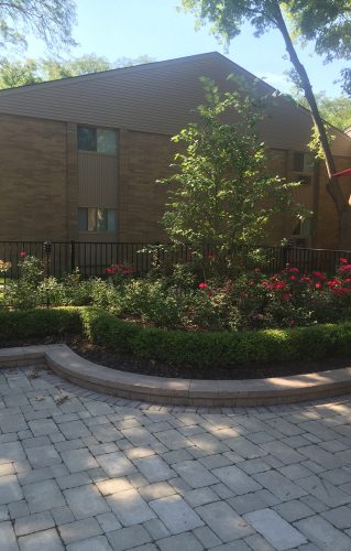 Featured image for “1532 Pine Valley Blvd., #12”