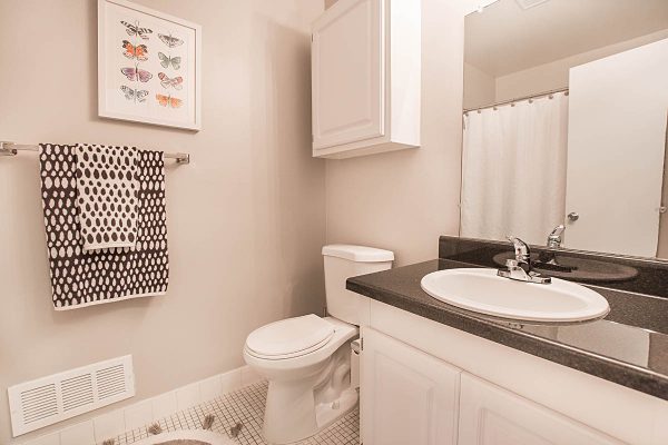 Featured image for “850 Ironwood, #328”