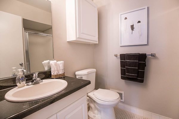 Featured image for “850 Ironwood, #328”