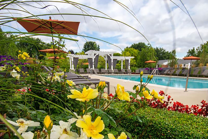 Featured image for “850 Ironwood, #328”