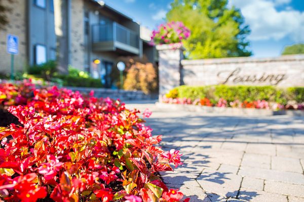 Featured image for “52 N. PLAZA BLVD, #433”