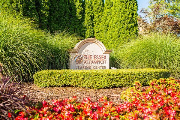 Featured image for “52 N. PLAZA BLVD, #433”