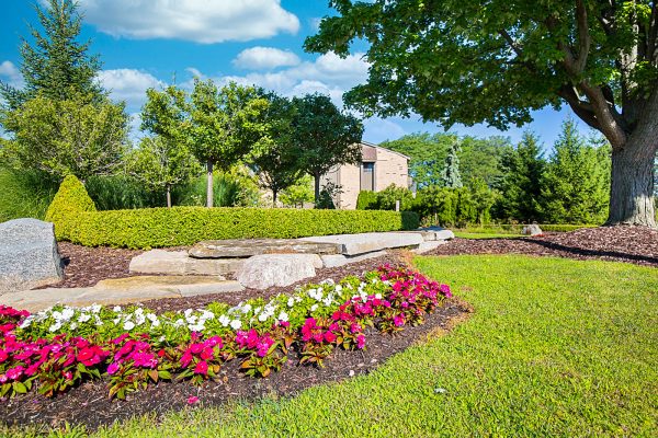 Featured image for “52 N. PLAZA BLVD, #433”