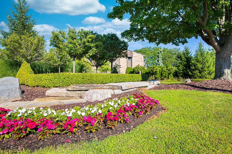 Featured image for “52 N. PLAZA BLVD, #433”