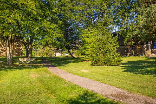 Featured image for “52 N. PLAZA BLVD, #433”