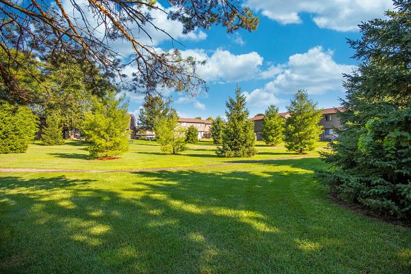 Featured image for “52 N. PLAZA BLVD, #433”