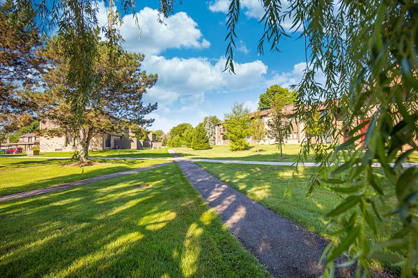 Featured image for “52 N. PLAZA BLVD, #433”