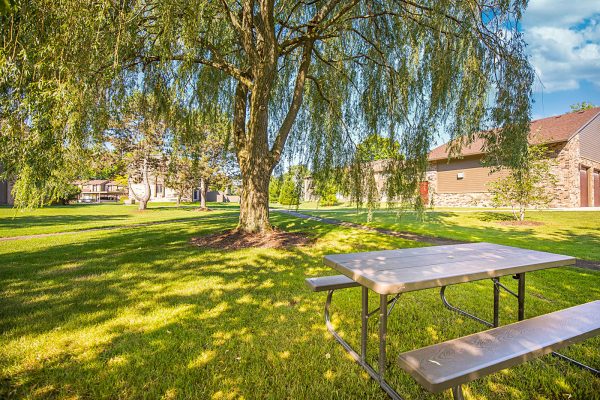 Featured image for “52 N. PLAZA BLVD, #433”