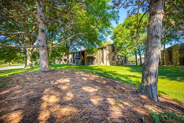 Featured image for “52 N. PLAZA BLVD, #433”