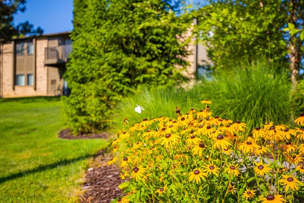 Featured image for “52 N. PLAZA BLVD, #433”