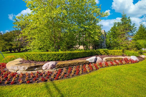 Featured image for “52 N. PLAZA BLVD, #433”