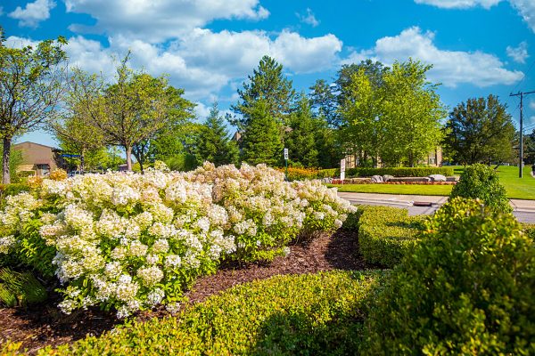 Featured image for “52 N. PLAZA BLVD, #433”