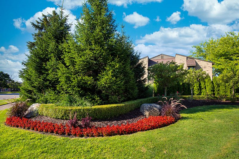 Featured image for “52 N. PLAZA BLVD, #433”