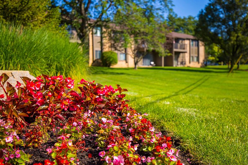 Featured image for “52 N. PLAZA BLVD, #433”