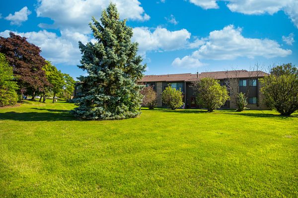 Featured image for “52 N. PLAZA BLVD, #433”