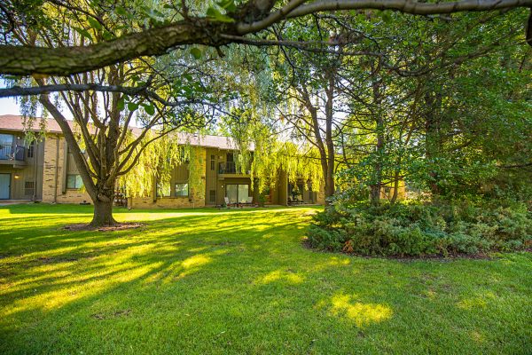 Featured image for “52 N. PLAZA BLVD, #433”