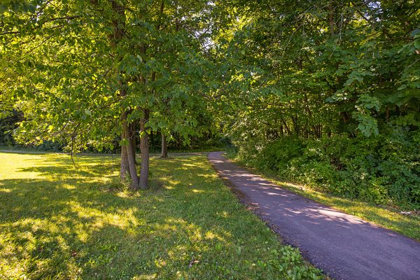 Featured image for “52 N. PLAZA BLVD, #433”