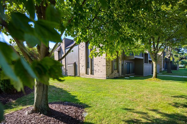 Featured image for “52 N. PLAZA BLVD, #433”