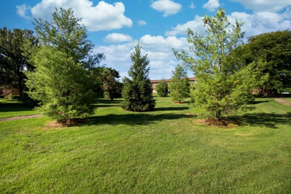 Featured image for “52 N. PLAZA BLVD, #433”