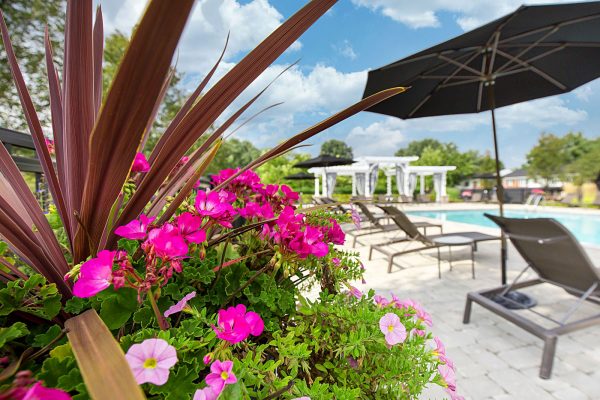 Featured image for “850 Ironwood, #328”