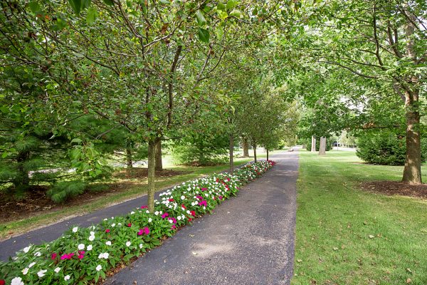 Featured image for “850 Ironwood, #328”