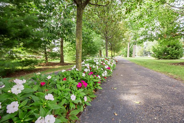 Featured image for “850 Ironwood, #328”