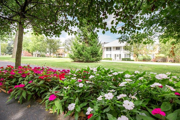 Featured image for “850 Ironwood, #328”