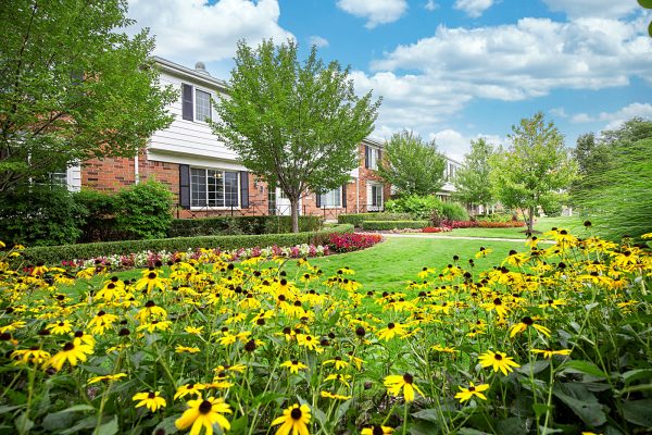 Featured image for “850 Ironwood, #328”