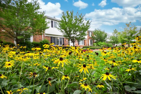 Featured image for “850 Ironwood, #328”